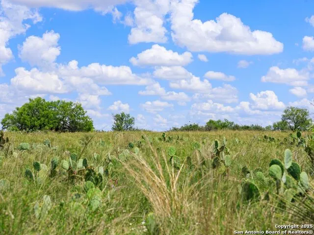 200-236 FM 3252 Carrizo Springs, TX 78836