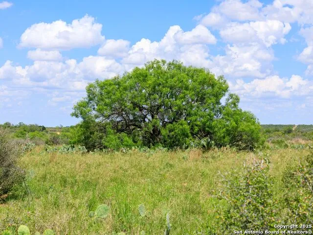 200-236 FM 3252 Carrizo Springs, TX 78836