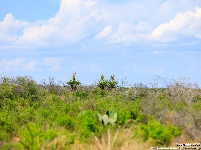 200-236 FM 3252 Carrizo Springs, TX 78836