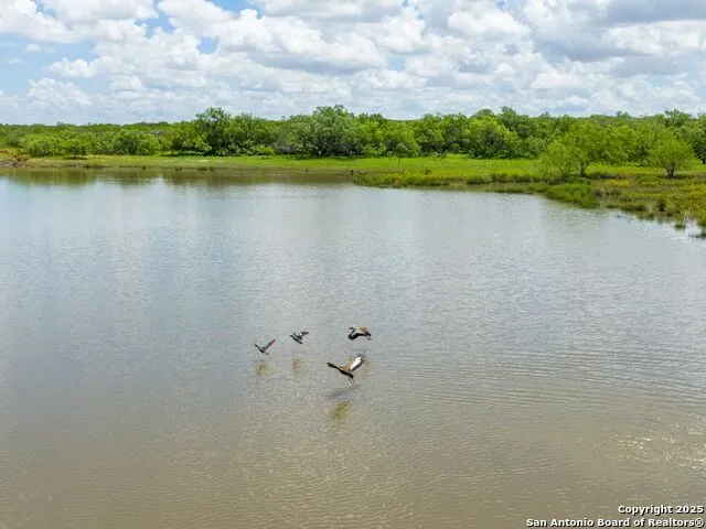 200-236 FM 3252 Carrizo Springs, TX 78836