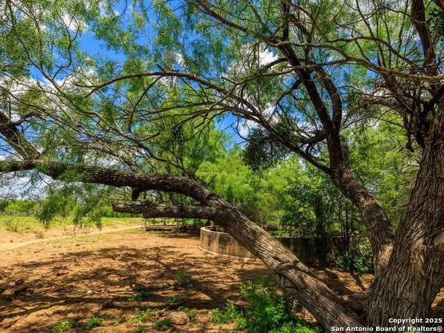 200-236 FM 3252 Carrizo Springs, TX 78836