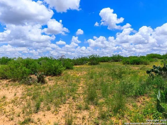 200-236 FM 3252 Carrizo Springs, TX 78836