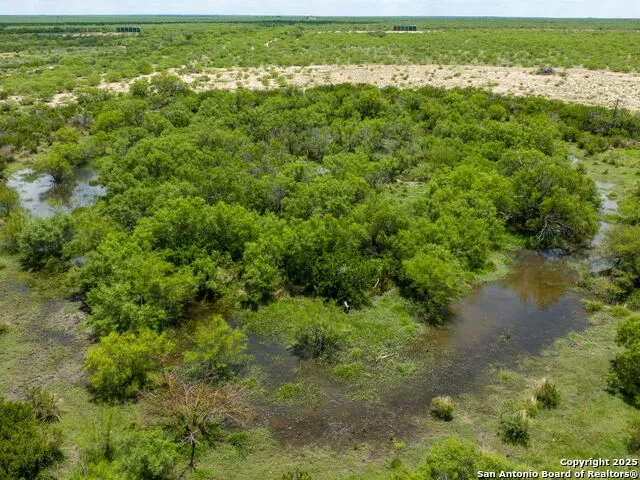 200-236 FM 3252 Carrizo Springs, TX 78836