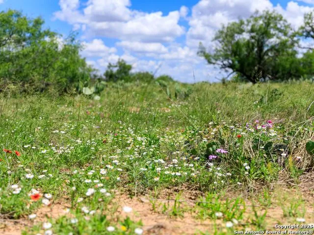 200-236 FM 3252 Carrizo Springs, TX 78836