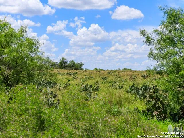 200-236 FM 3252 Carrizo Springs, TX 78836