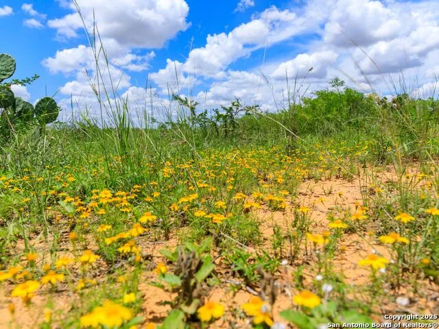 200-236 FM 3252 Carrizo Springs, TX 78836