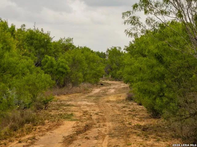 9 FM 1581 Pearsall, TX 78061