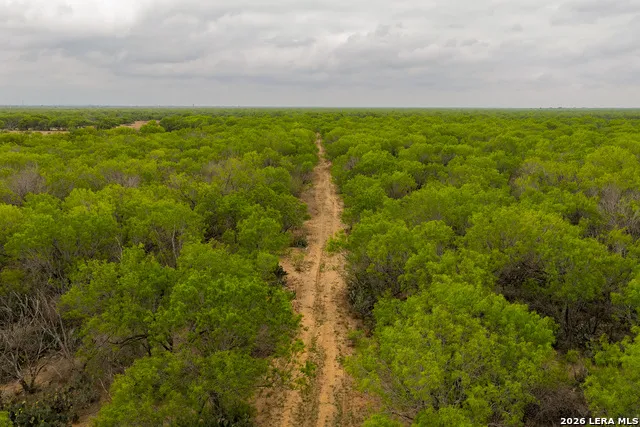 9 FM 1581 Pearsall, TX 78061