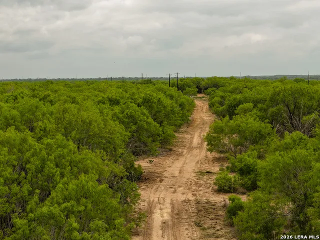 9 FM 1581 Pearsall, TX 78061