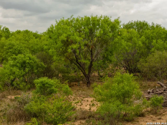 9 FM 1581 Pearsall, TX 78061