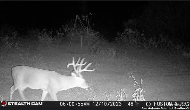 9 FM 1581 Pearsall, TX 78061