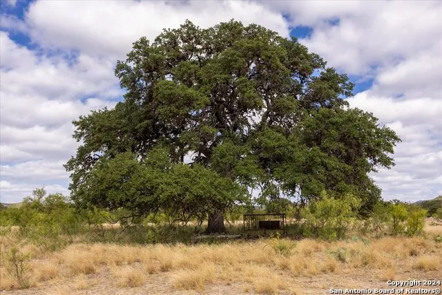  Camp Wood, TX 78833