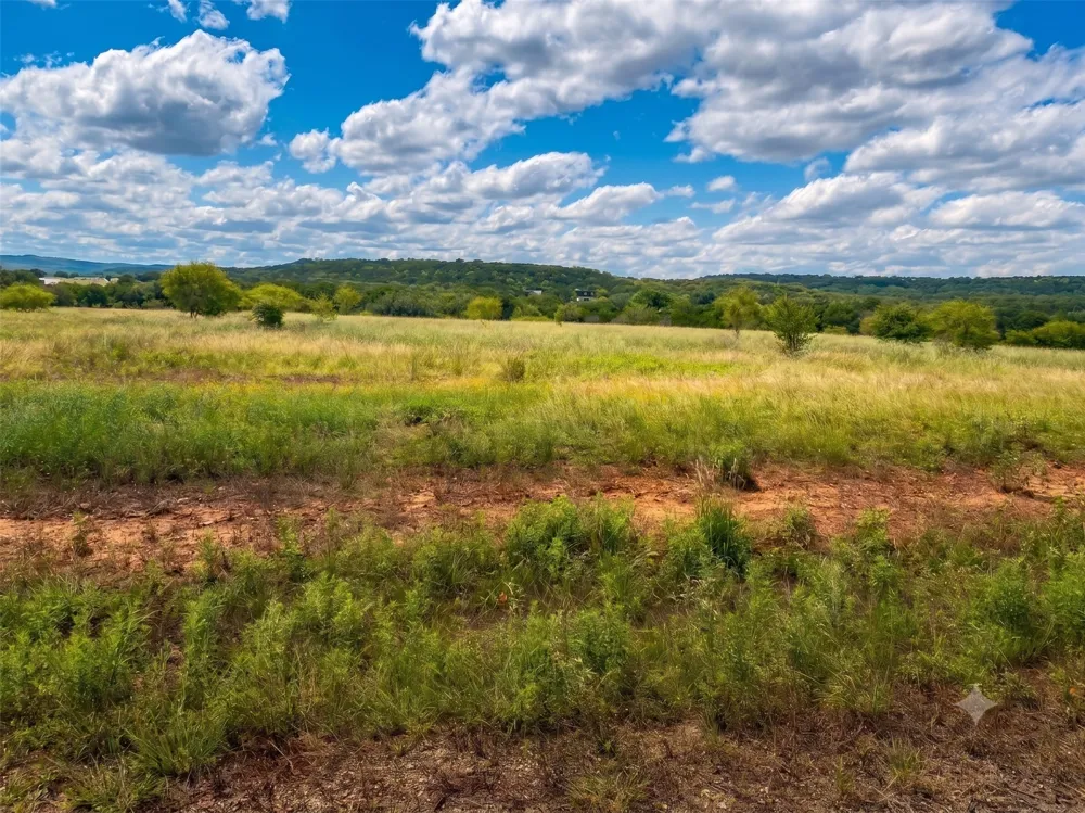 44 Barber Lakes Drive #LOT 44 Mineral Wells, TX 76067