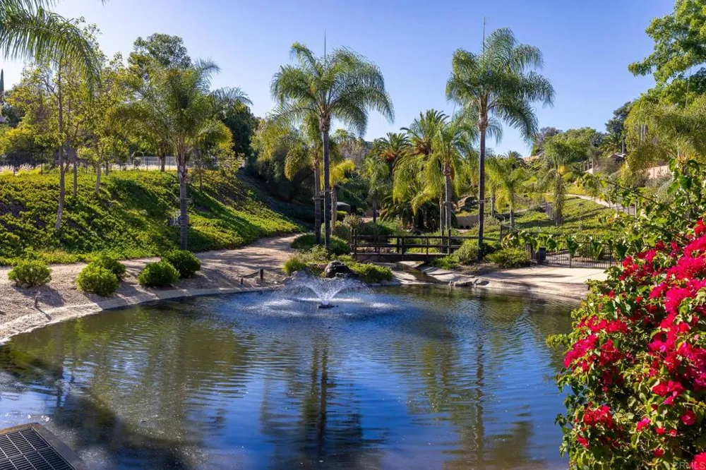 1973 Buckskin Escondido, CA 92027