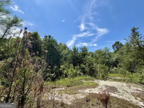 14.21 ACRES NW Irwin Bridge RD