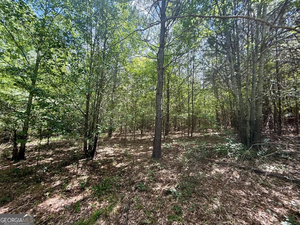 14.21 ACRES NW Irwin Bridge RD Conyers, GA 30012