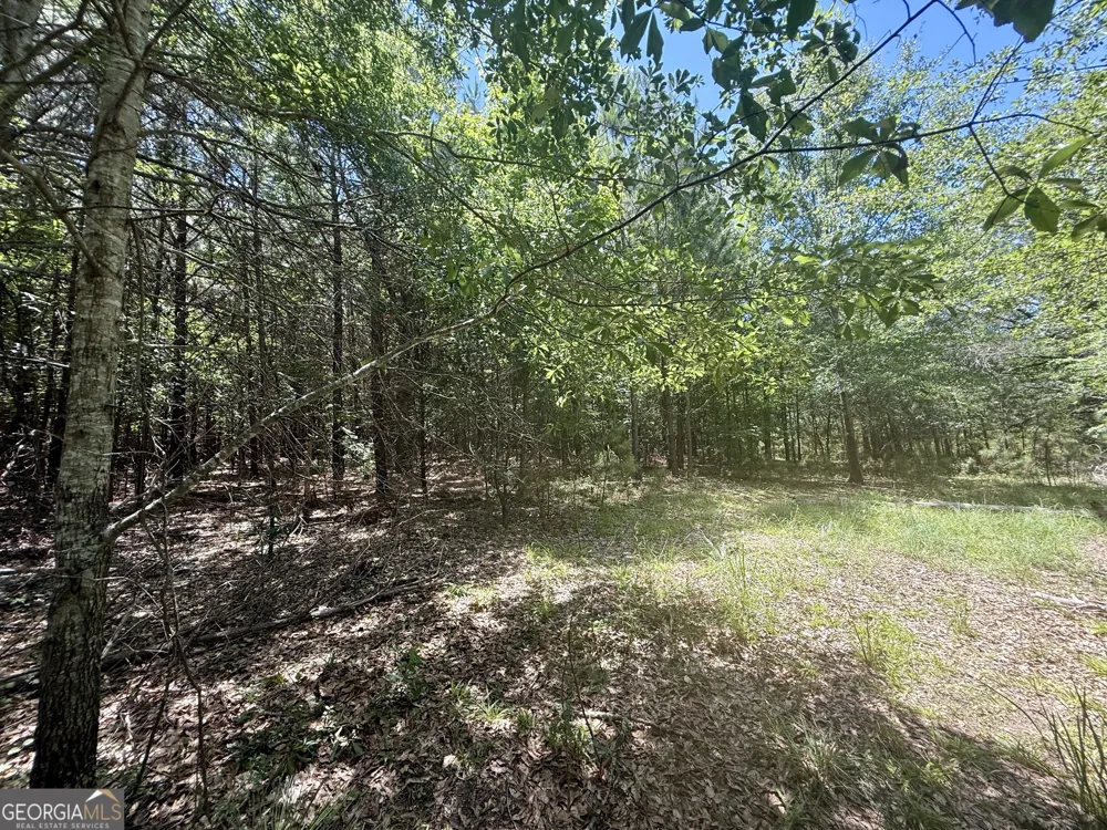 14.21 ACRES NW Irwin Bridge RD Conyers, GA 30012