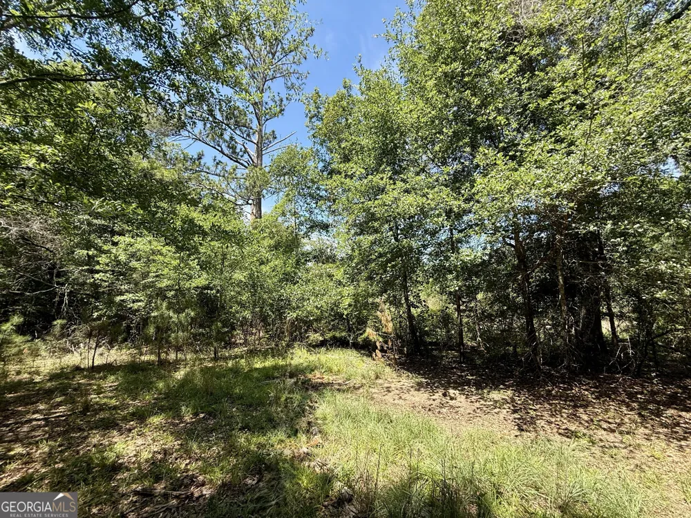 14.21 ACRES NW Irwin Bridge RD Conyers, GA 30012