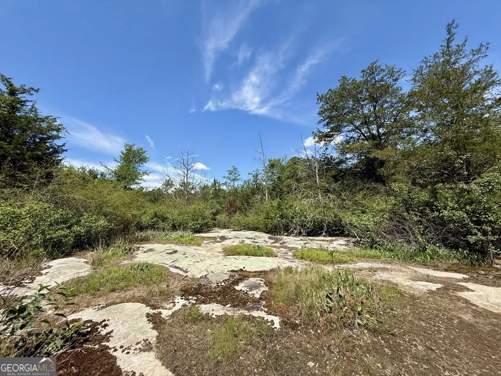 14.21 ACRES NW Irwin Bridge RD Conyers, GA 30012
