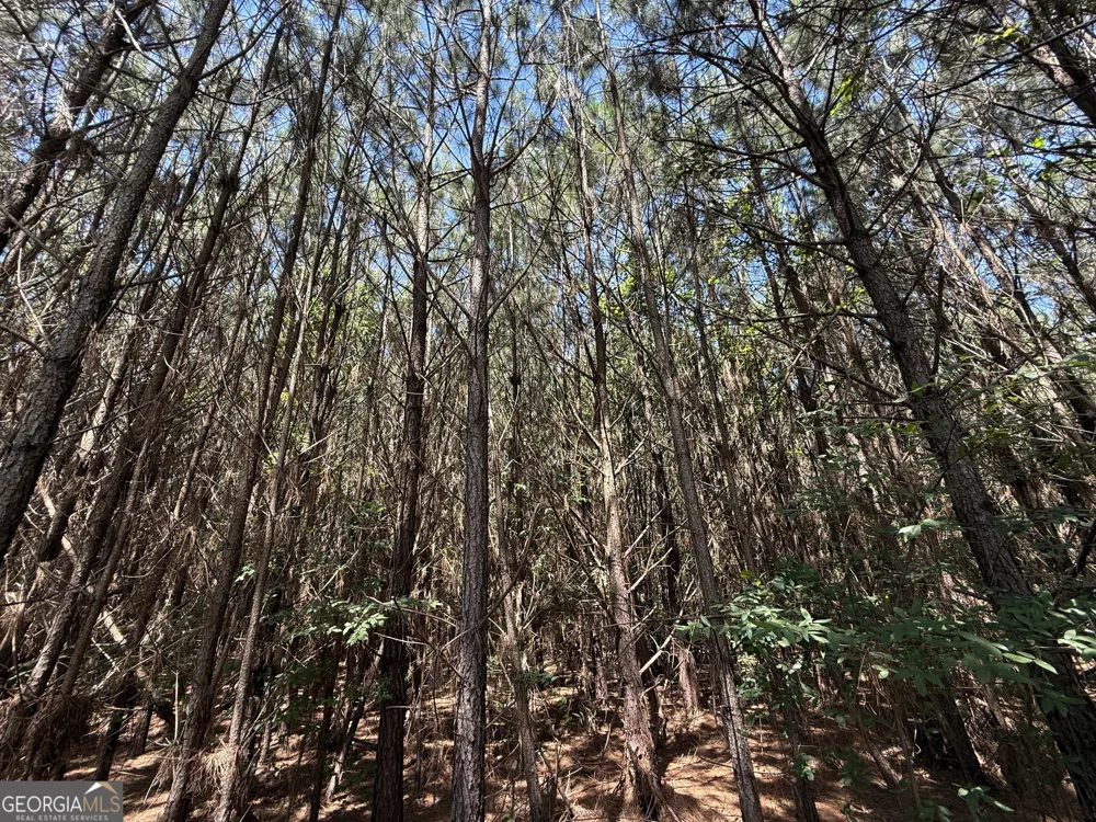 14.21 ACRES NW Irwin Bridge RD Conyers, GA 30012