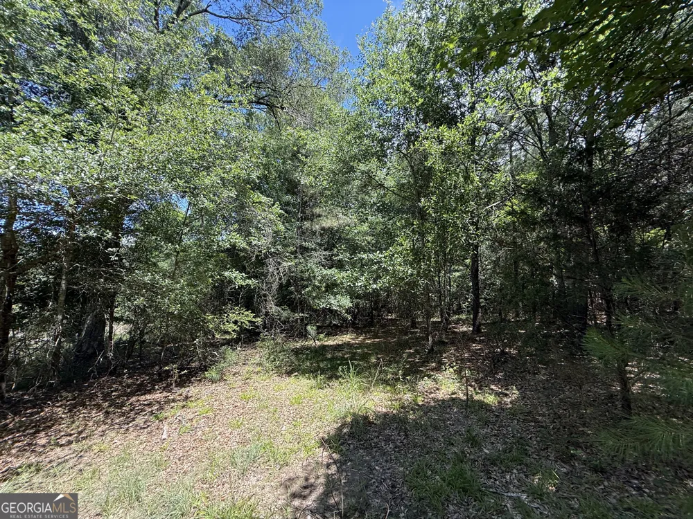 14.21 ACRES NW Irwin Bridge RD Conyers, GA 30012