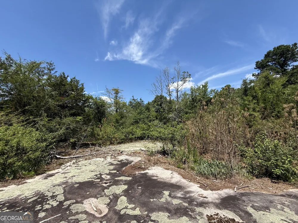 14.21 ACRES NW Irwin Bridge RD Conyers, GA 30012