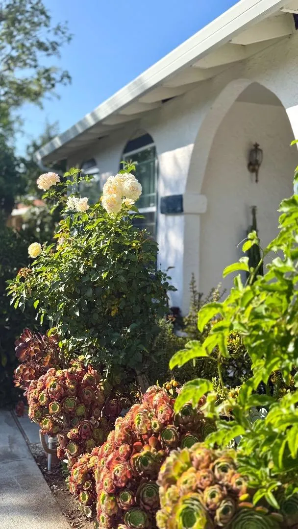 19959 Sea Gull Way Saratoga, CA 95070