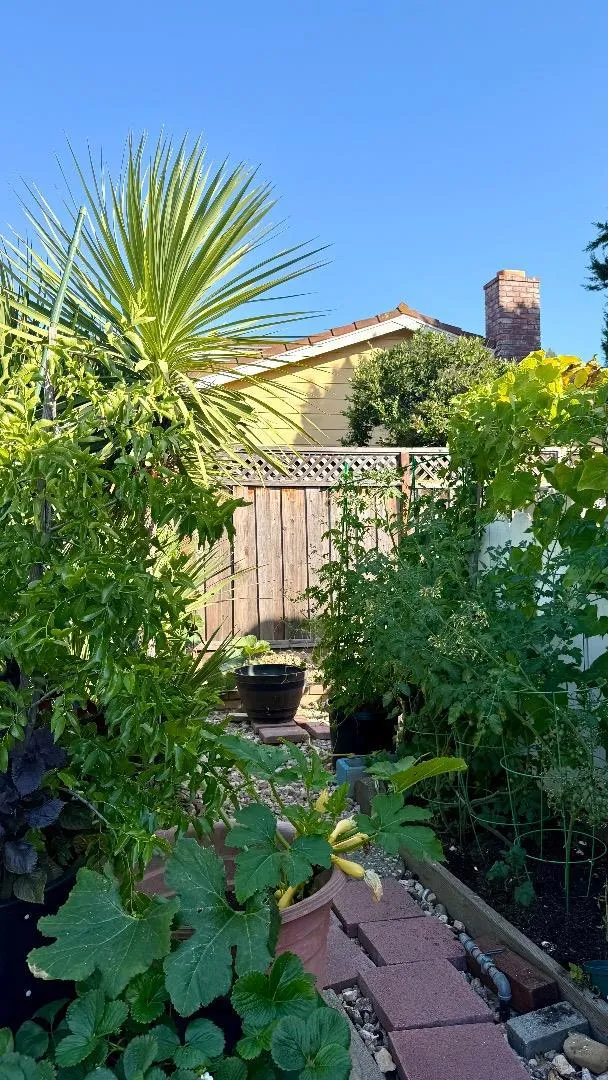 19959 Sea Gull Way Saratoga, CA 95070