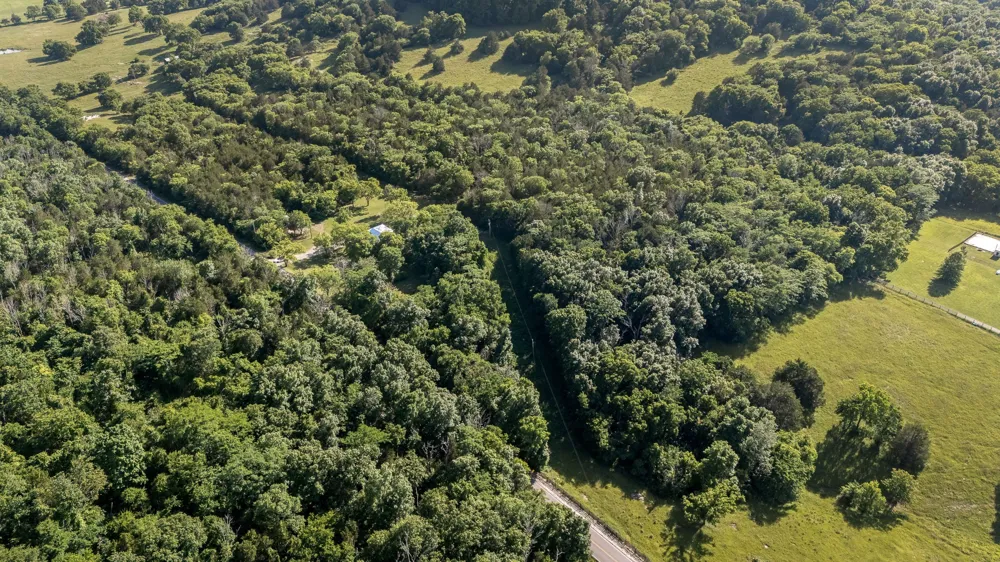 10257 Barlow Ln Lascassas, TN 37085