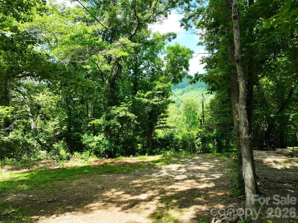 99999 Chunns Cove Road Asheville, NC 28805