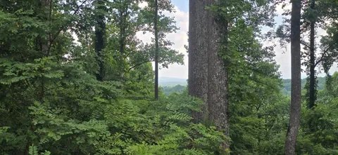 001 Winding Ridge