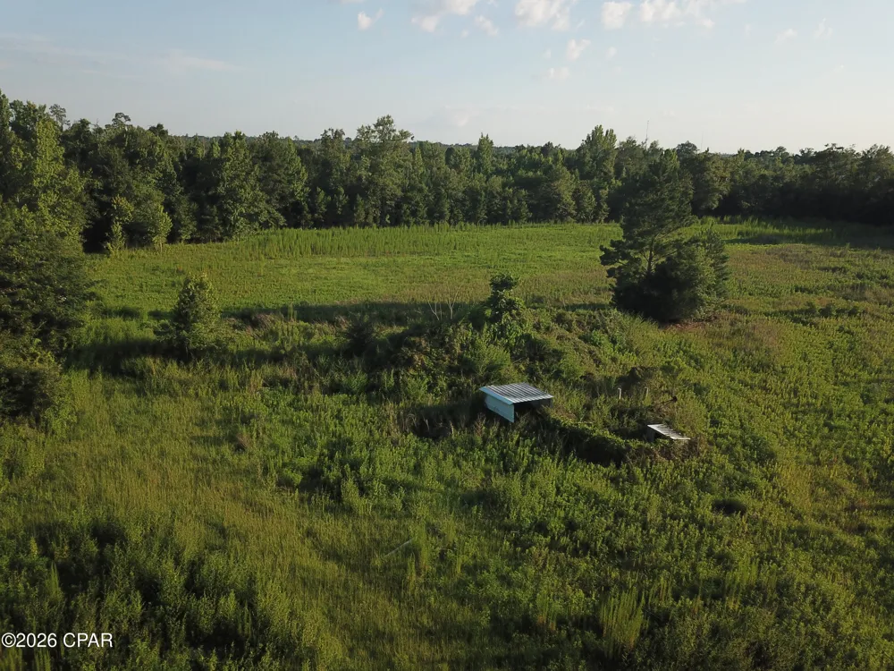 Suggs Attaway Road Clarksville, FL 32430
