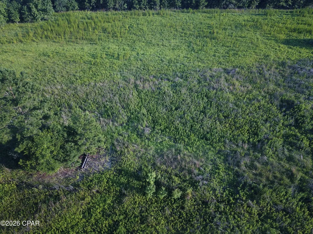 Suggs Attaway Road Clarksville, FL 32430