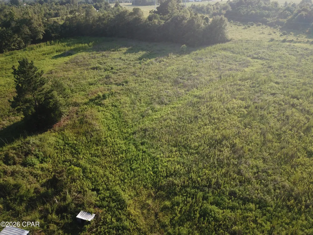 Suggs Attaway Road Clarksville, FL 32430