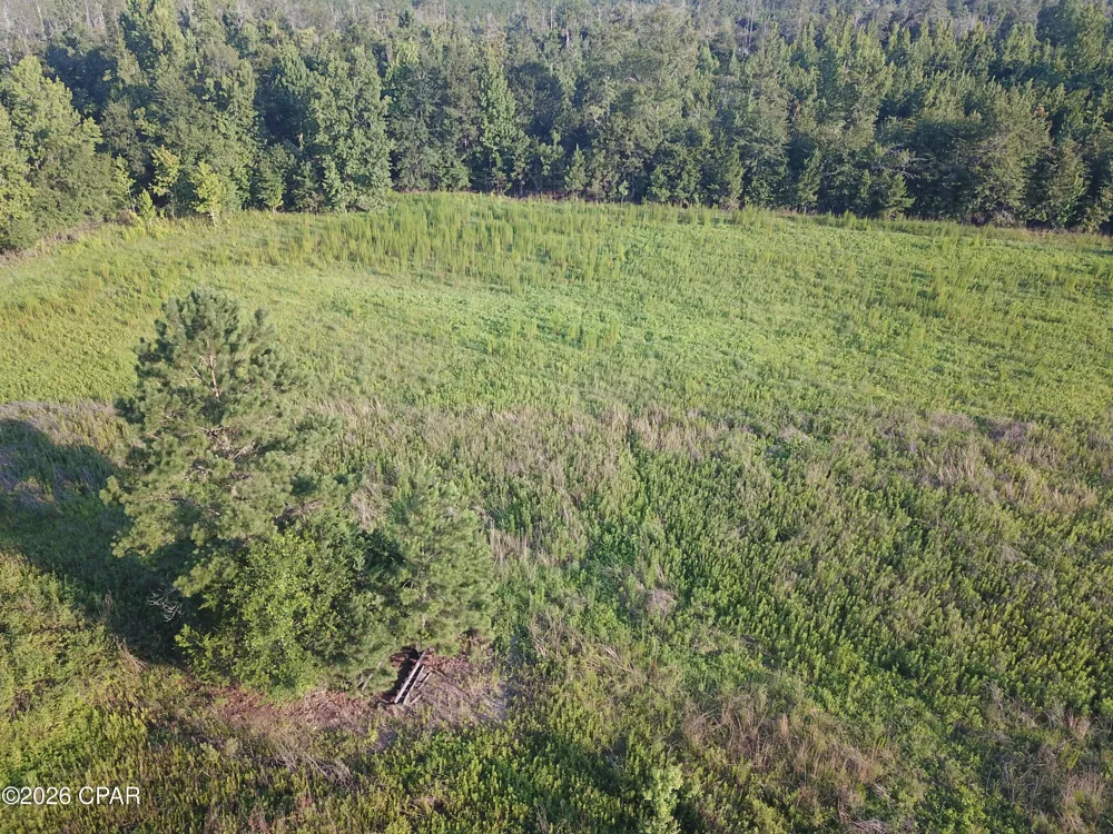 Suggs Attaway Road Clarksville, FL 32430