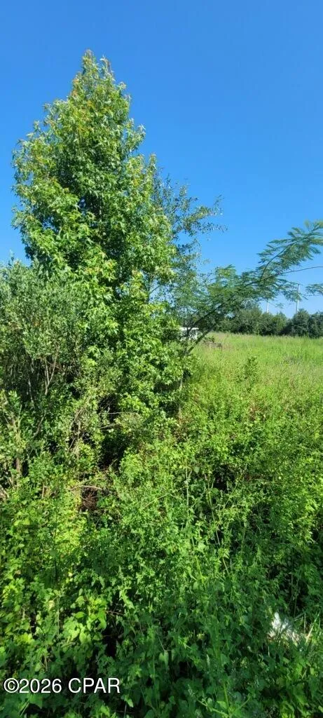 Suggs Attaway Road Clarksville, FL 32430