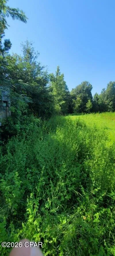 Suggs Attaway Road Clarksville, FL 32430