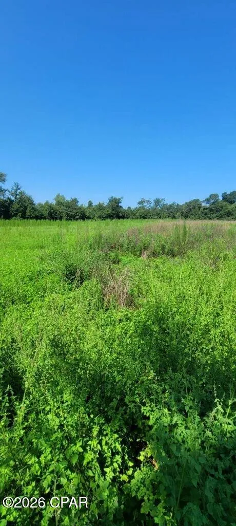Suggs Attaway Road Clarksville, FL 32430