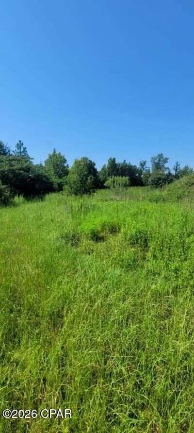Suggs Attaway Road Clarksville, FL 32430