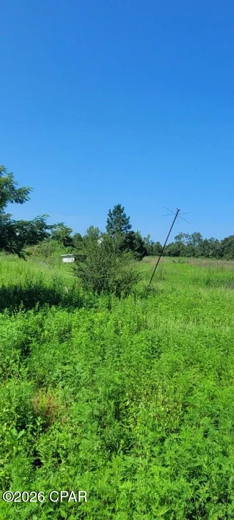 Suggs Attaway Road Clarksville, FL 32430