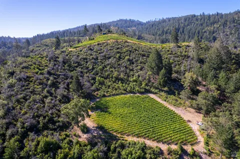 Diamond Mountain Road