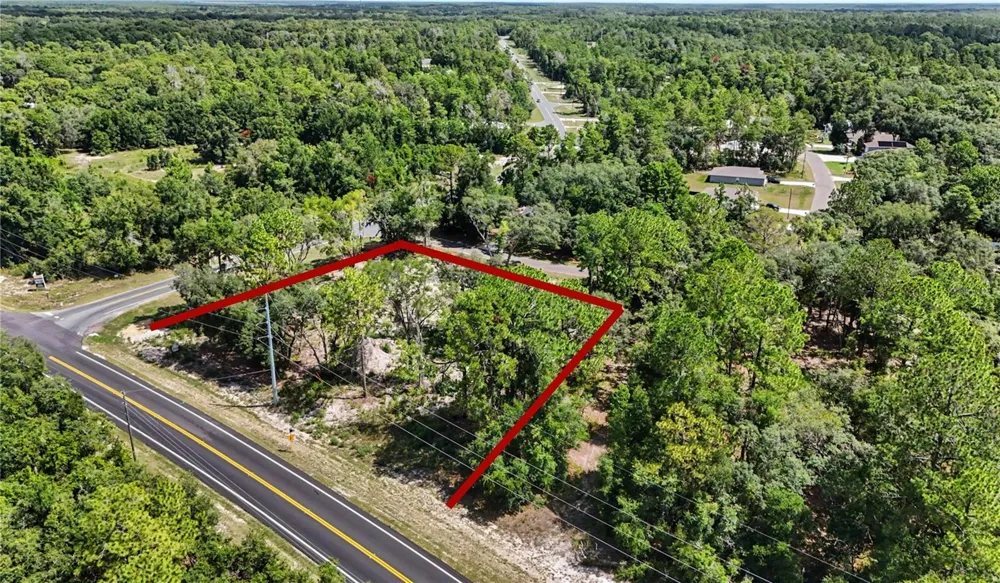 3 BAY DRIVE Ocklawaha, FL 32179