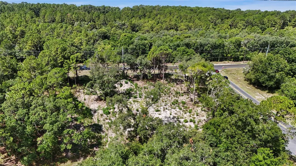 3 BAY DRIVE Ocklawaha, FL 32179