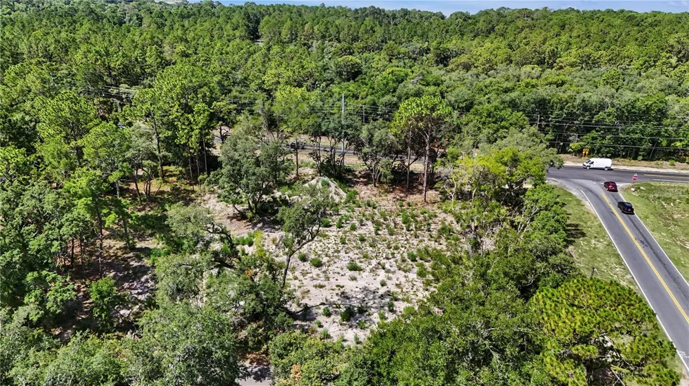 3 BAY DRIVE Ocklawaha, FL 32179