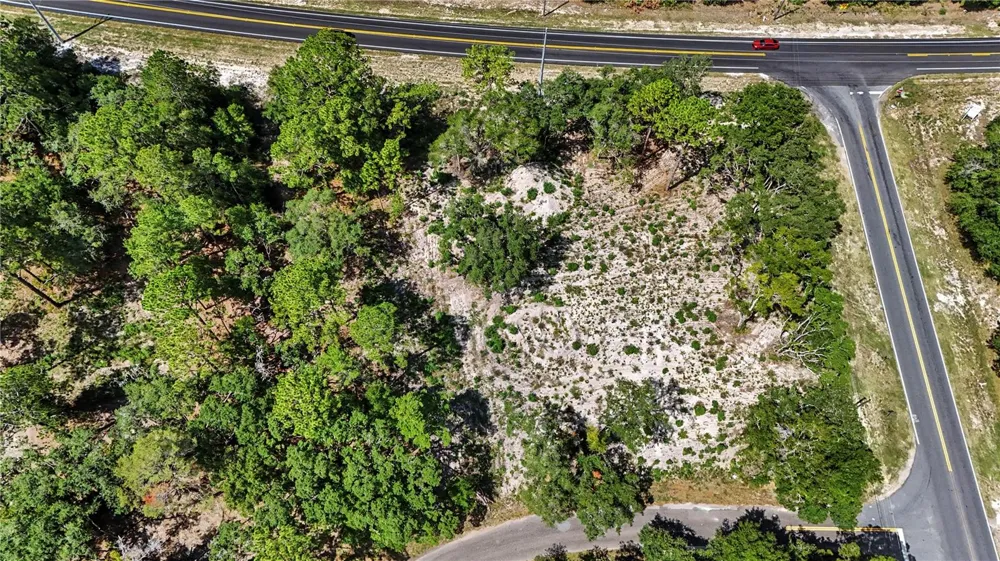 3 BAY DRIVE Ocklawaha, FL 32179