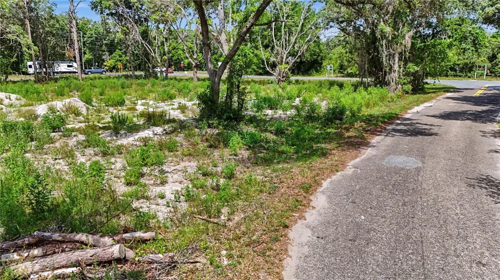 3 BAY DRIVE Ocklawaha, FL 32179