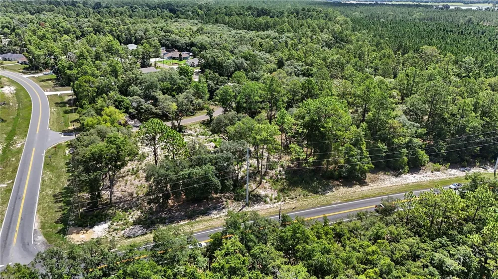 3 BAY DRIVE Ocklawaha, FL 32179