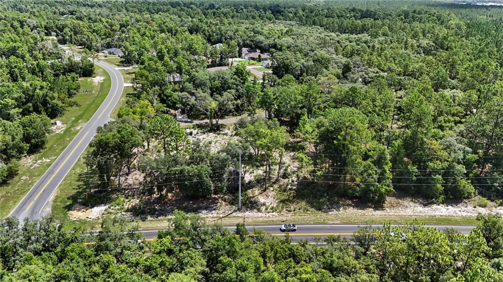3 BAY DRIVE Ocklawaha, FL 32179