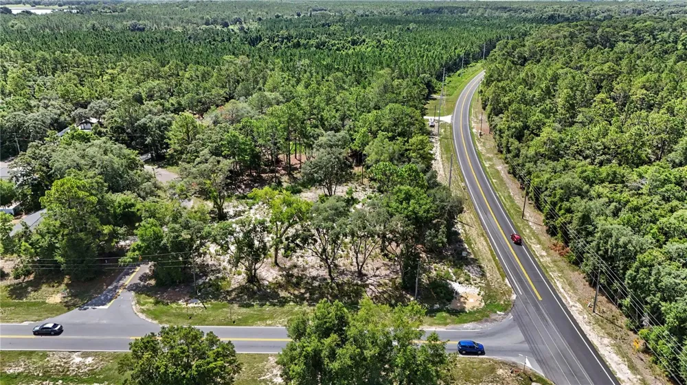 3 BAY DRIVE Ocklawaha, FL 32179