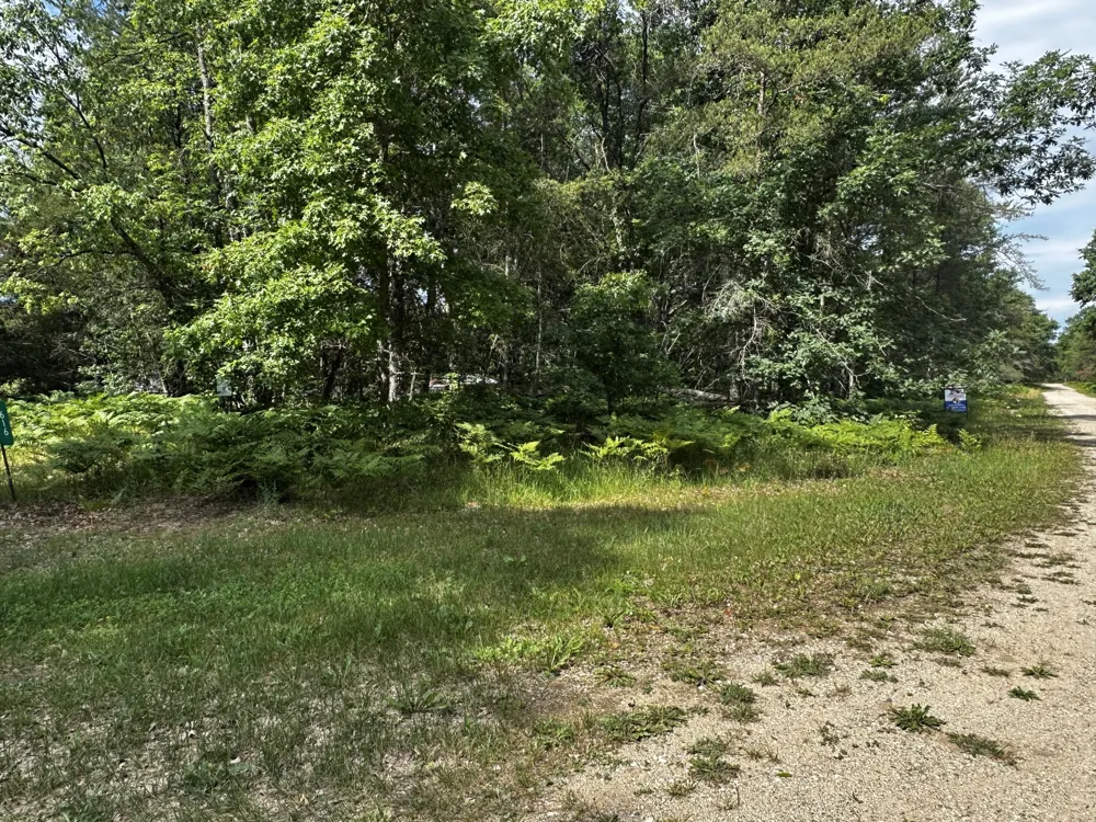W Airpark Drive Luther, MI 49656